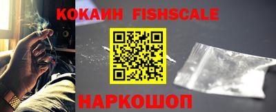 шишки Дубна