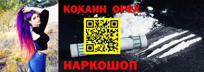 шишки Дубна