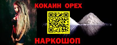 шишки Дубна