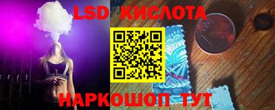шишки Дубна