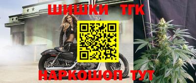шишки Дубна