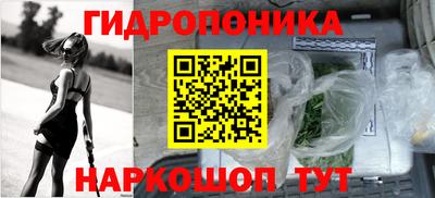шишки Дубна