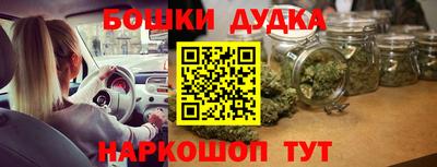 шишки Дубна