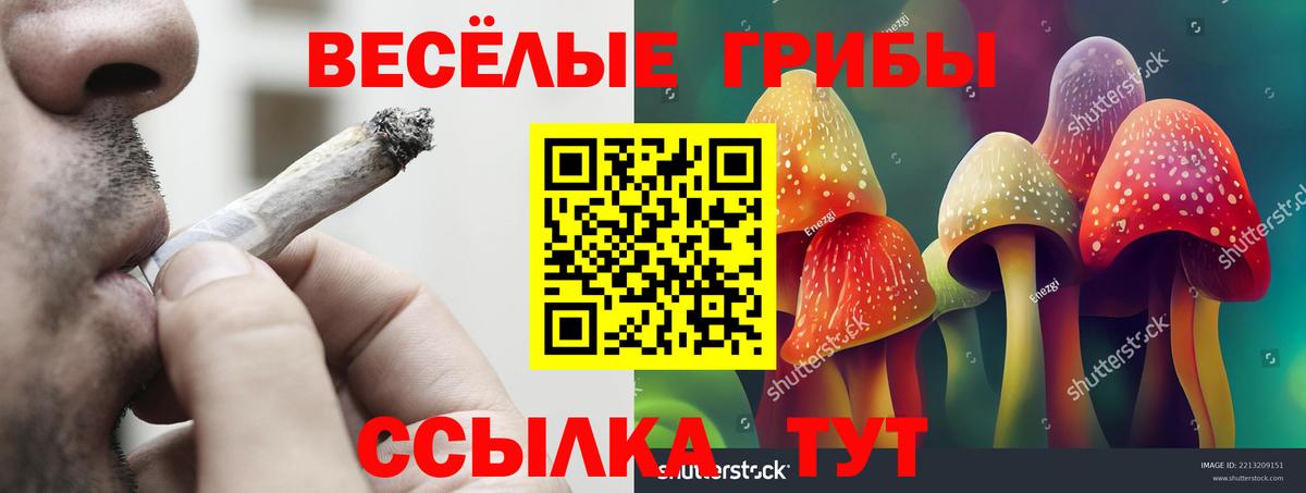 Галлюциногенные грибы MAGIC MUSHROOMS Дедовск